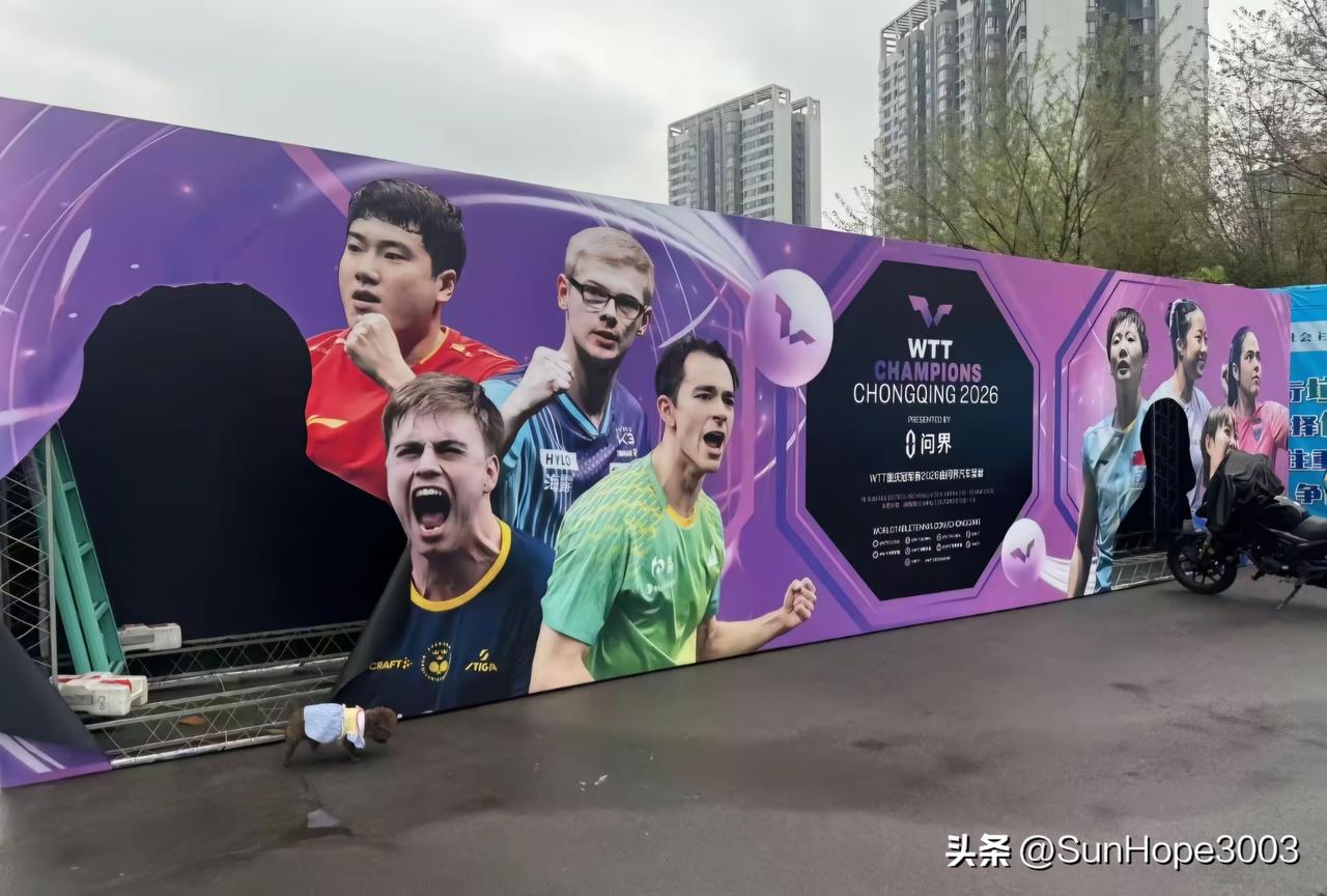 还真剪走了呀，球迷把海报上的莎莎和楚钦给带走了，还有人叫了货拉拉把她俩的立牌给拉