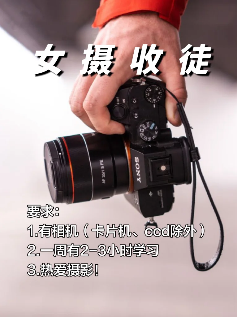 半夜突然很想交人摄影😭