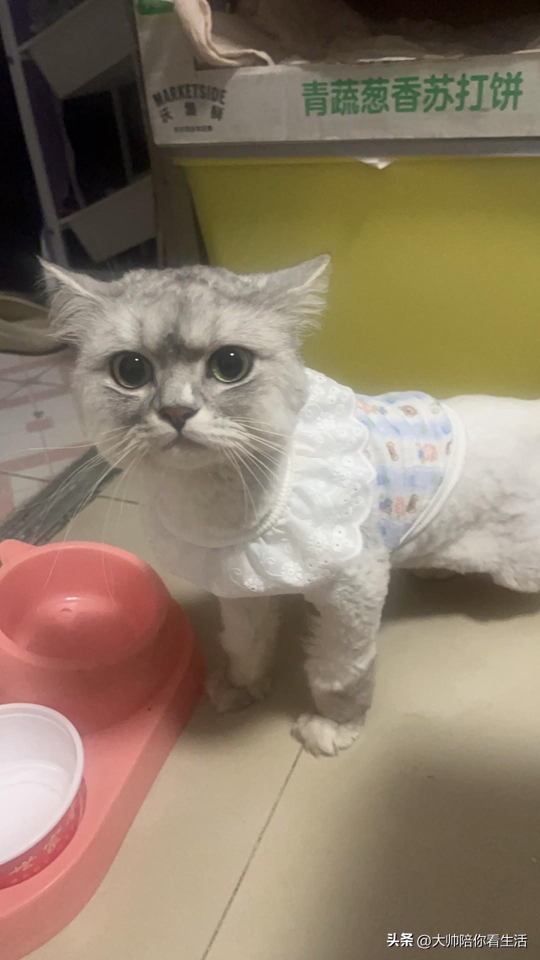 怎样的努力才更容易成功?怎样的努力才更容易成功？

不是熬得久、忙得累就叫努力，