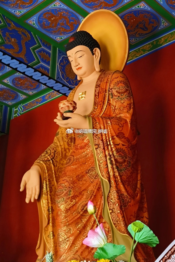 美好的一天从晨起发愿开始，请默念：自己会越来越富有，自己拥有无限的能量，美好愿望