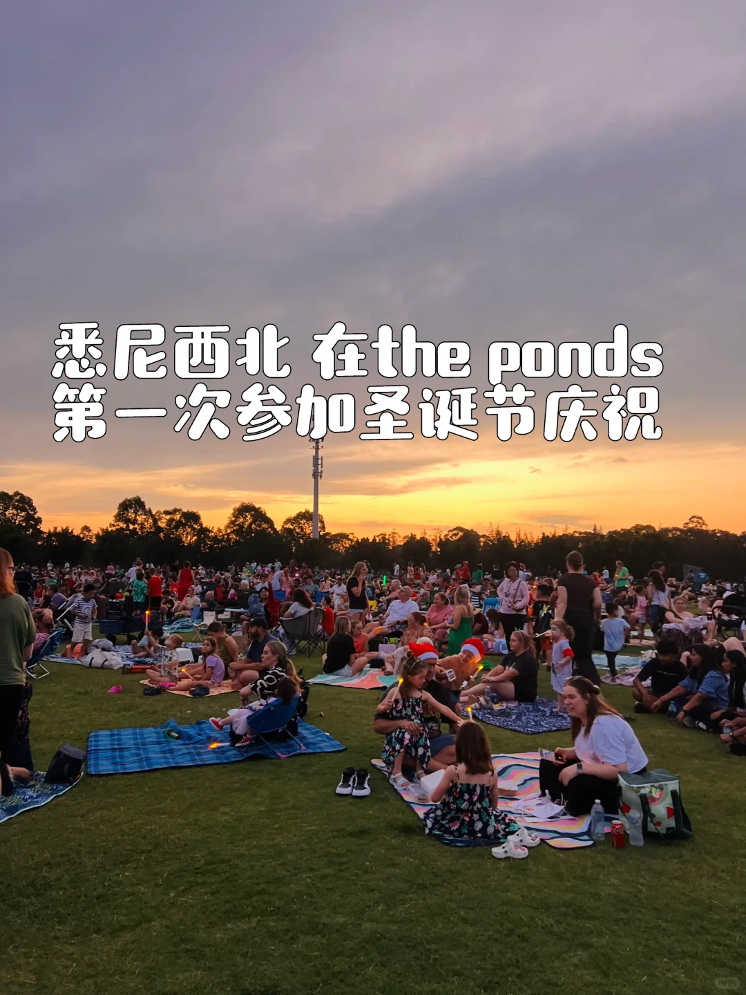 悉尼西北 the ponds 偶遇庆祝圣诞