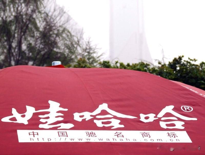 宗馥莉决定辞职另起炉灶搞“娃小宗”，这波操作挺有魄力。从消息看，她辞职可能是“娃