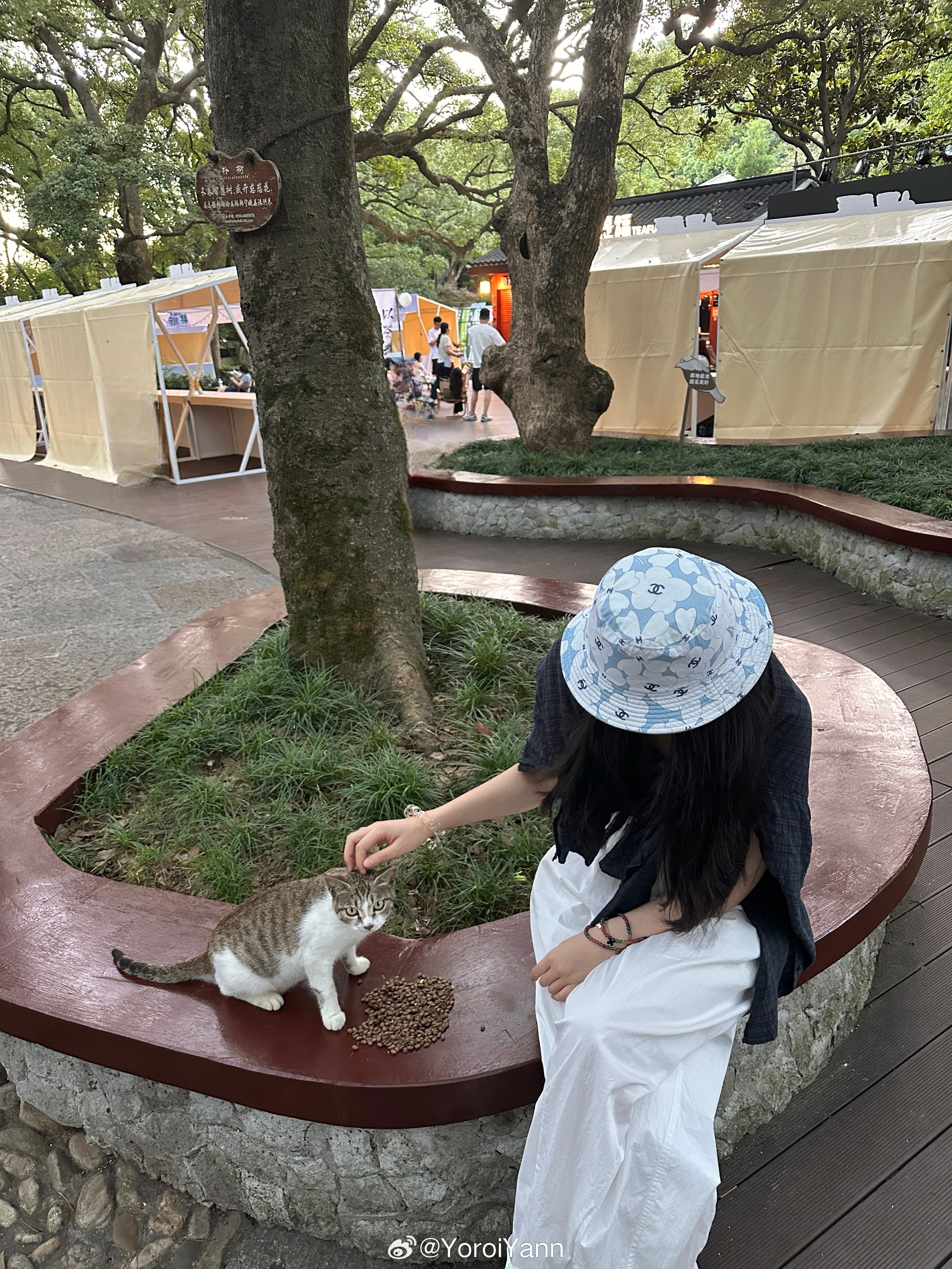 🐈🍊 ​​​