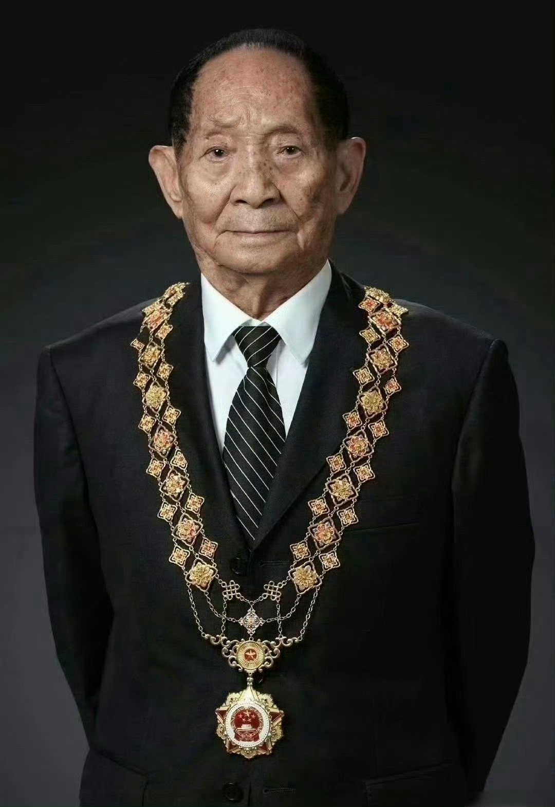 想你了 袁隆平爷爷