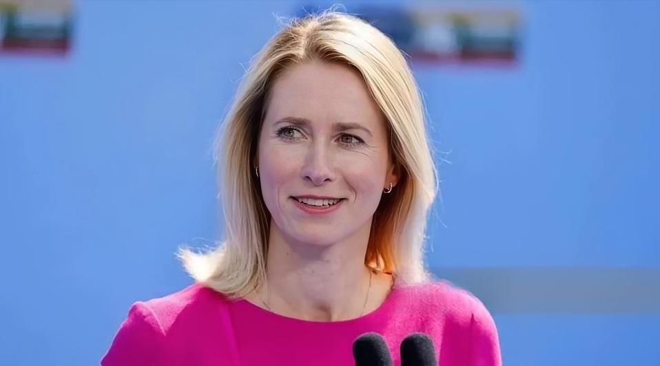 爱沙尼亚外长来了中国，然后说了些话，大概是让中国站队，要在俄罗斯和爱沙尼亚之间选