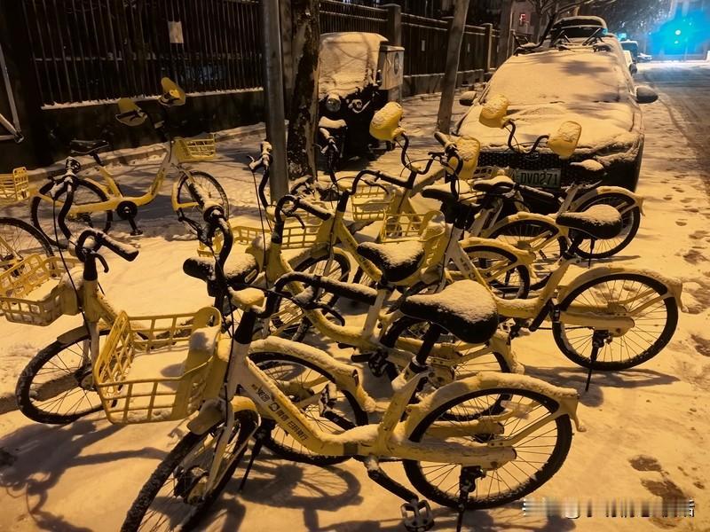 今年冬天的不同 今年冬天（2025 - 2026）和往年太不一样了。整体偏暖还波