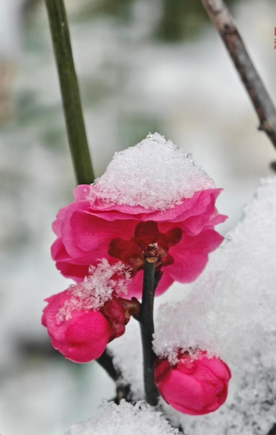 活到这岁数，算是把日子嚼出了滋味：人这一辈子，过得顺不顺心，真不在钱多钱少、地位
