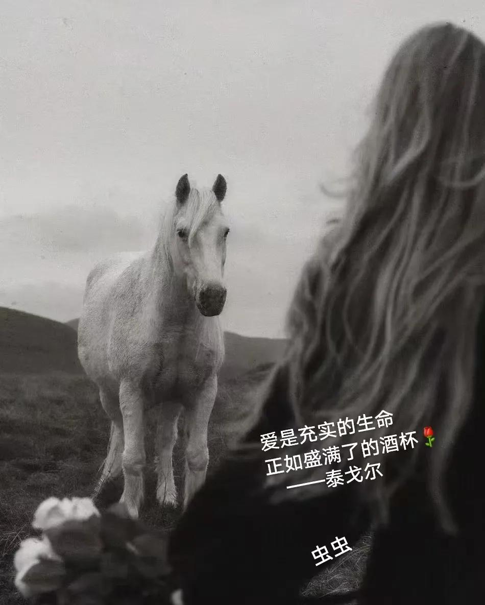 爱是充实的生命
正如盛满了的酒杯[玫瑰]
   ——泰戈尔