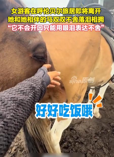 “太有灵性了！”8月4日半岛晨报报道，内蒙古呼伦贝尔，女子哭着和一匹马告别。没想