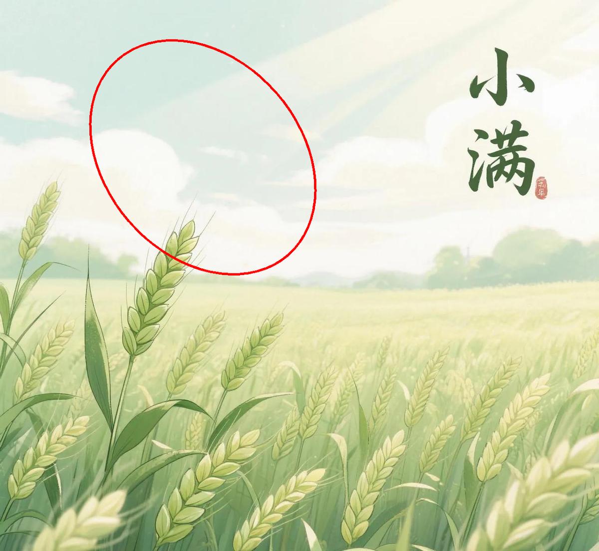 今天2点55分将迎来小满节气🌾
今年小满节气撞上农历月尾，民间谚语和专家预测都