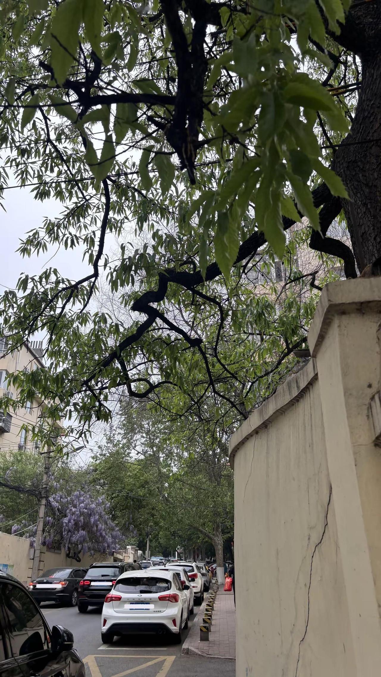 以前羡慕别人谈三五年 现在只觉得 要原谅对方多少次才能谈这么久