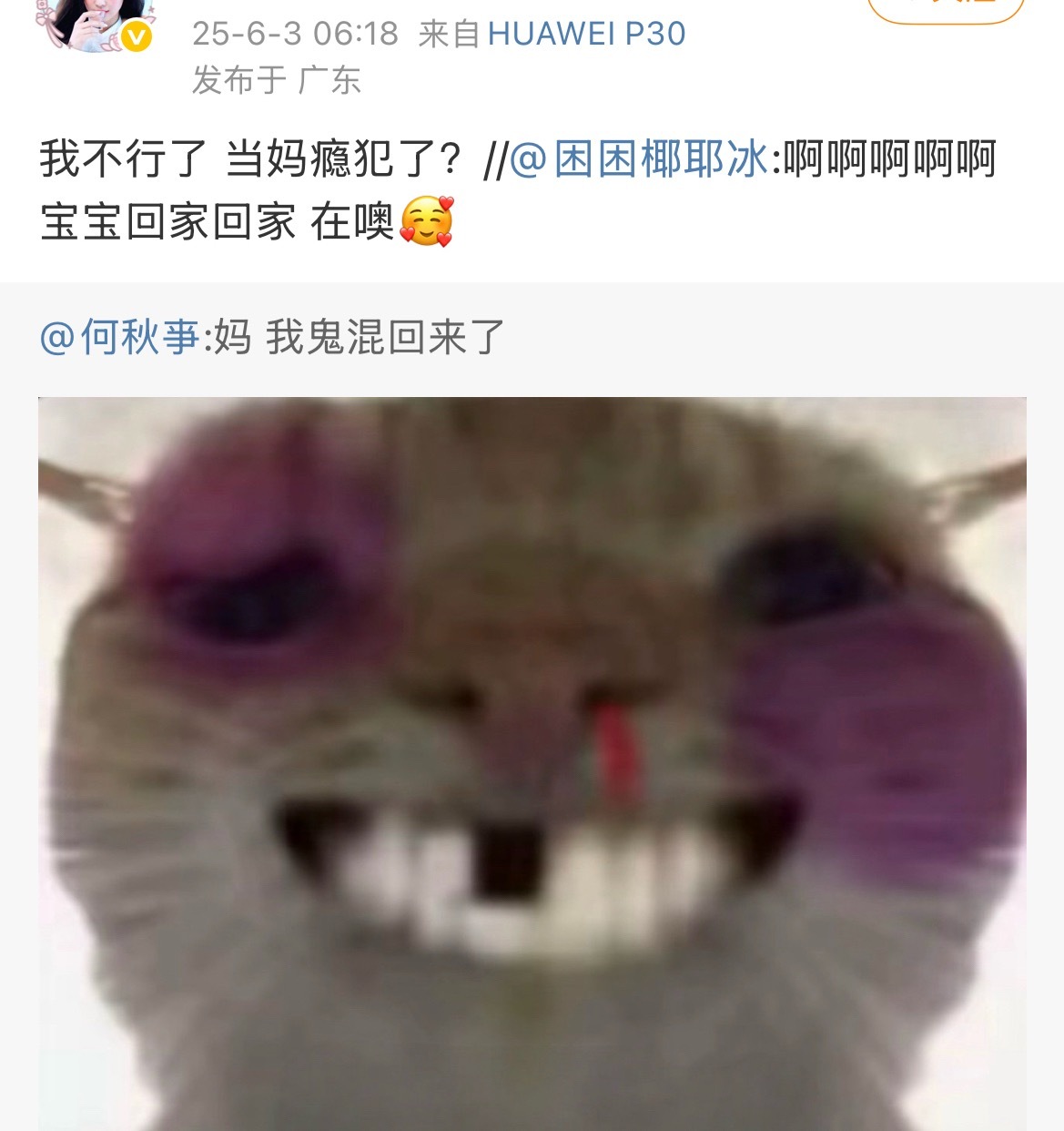 一年了 我记了你一年