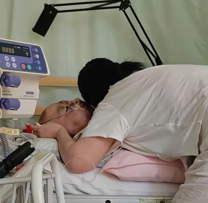 王子请恢复健康的豪豪离世了。愿他下辈子投个好胎做个没有病疼的健康的孩子。这几年来