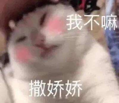 聊天必备表情包第516弹喵喵喵 （拿图吱声） 