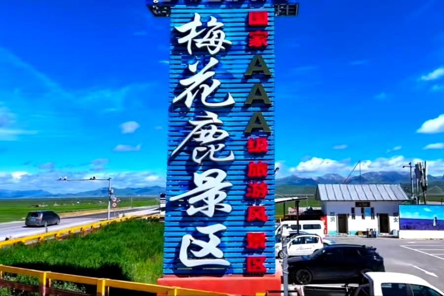 若尔盖·热尔部落梅花鹿生态园：避暑+治愈+出片一站全搞定 

2026年7月下旬