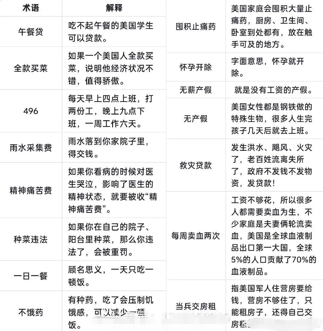 中美网民对账后学到的新美式术语。 