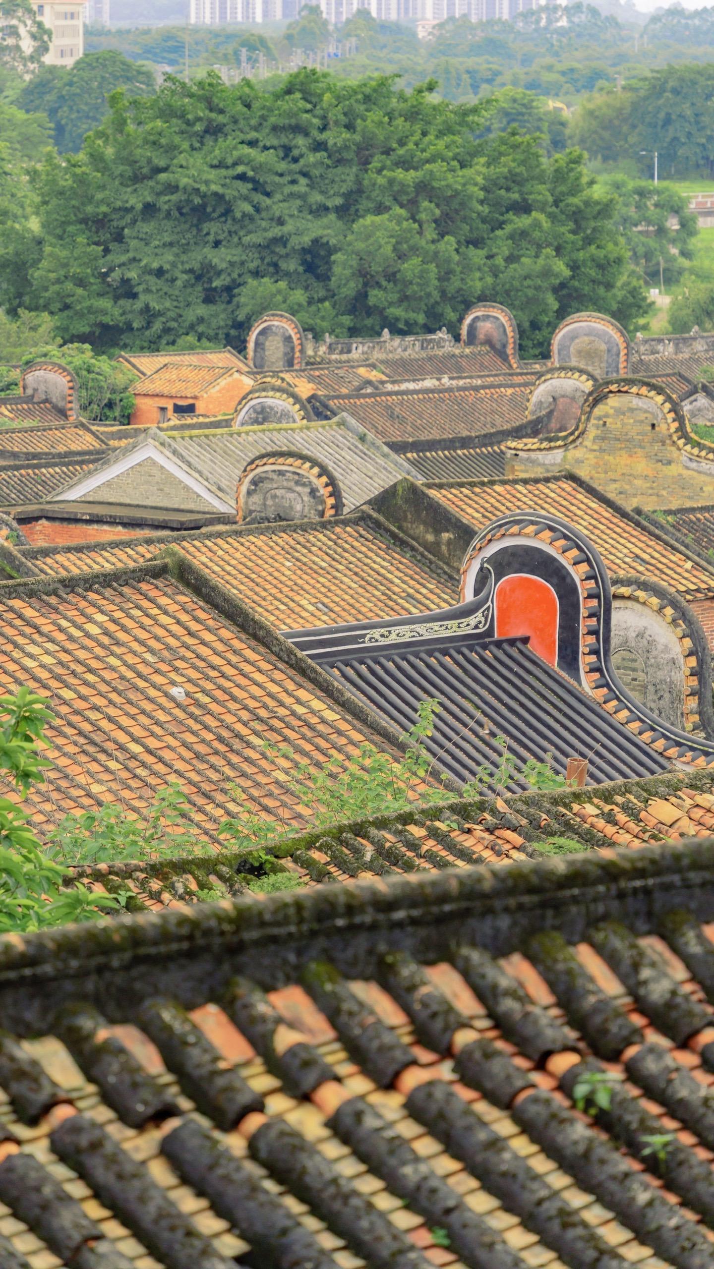 打卡佛山绝美古村落长岐古村。远离城市的喧嚣，来到安静的古村，宁静的小巷...
