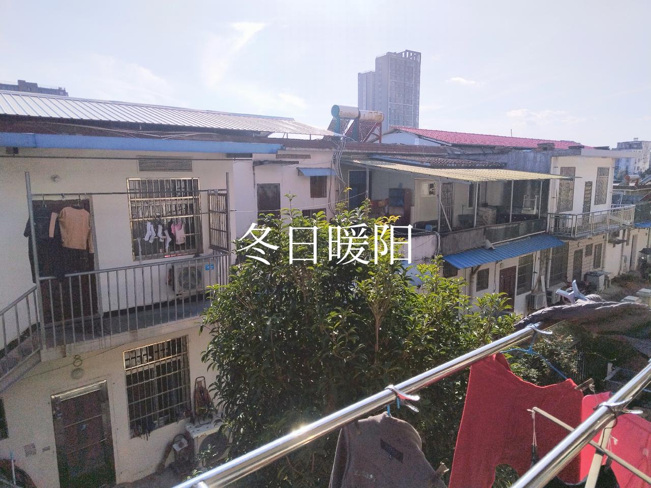 冬日生活打卡季