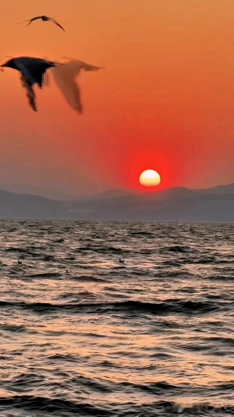 [彩虹]海面翻涌着层层浪涛，一轮圆滚滚的落日悬于天际，把整片天空染成热烈的橘红色