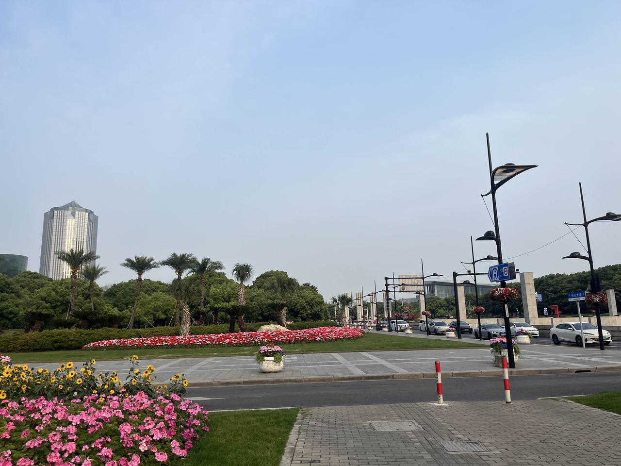上海街边花境很多外地人都说：上海除了外滩、陆家嘴三件套和迪士尼还有什么？我都不想