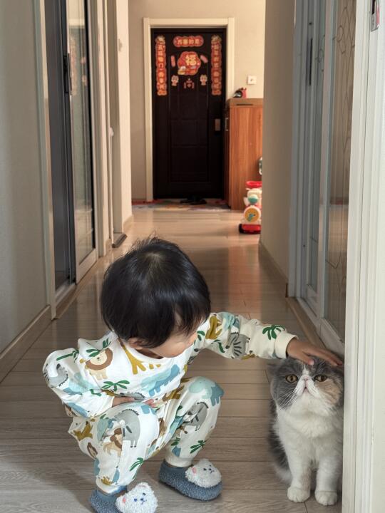 育儿嫂上线