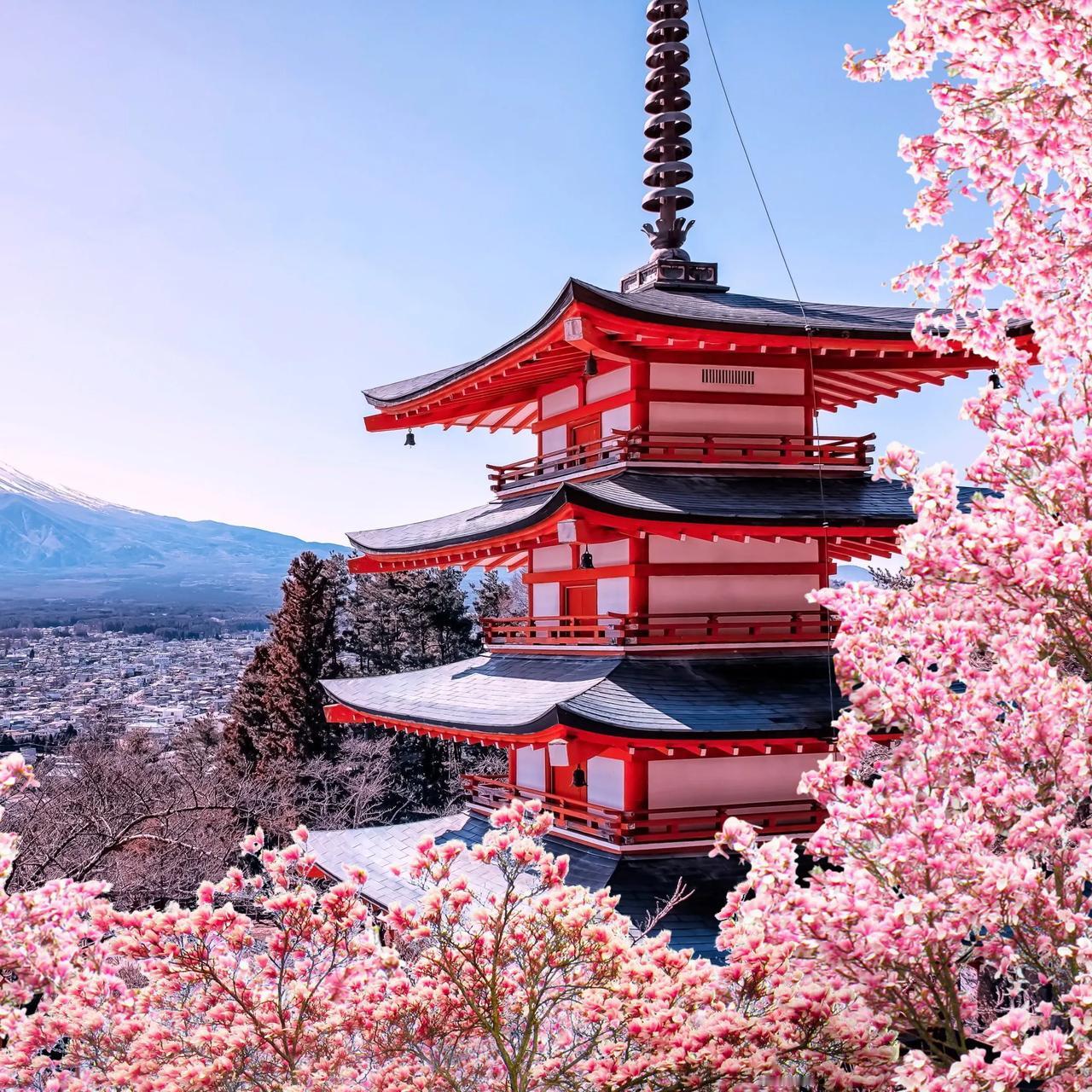 🇯🇵🏯 由于人口下降，日本空置房屋数量逼近1000万套

根据日本总务省最