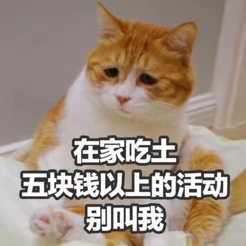 每周灵魂拷问：；你乱花钱了吗？我没有，主要是没有钱了。六月份把钱都存了，从0开始