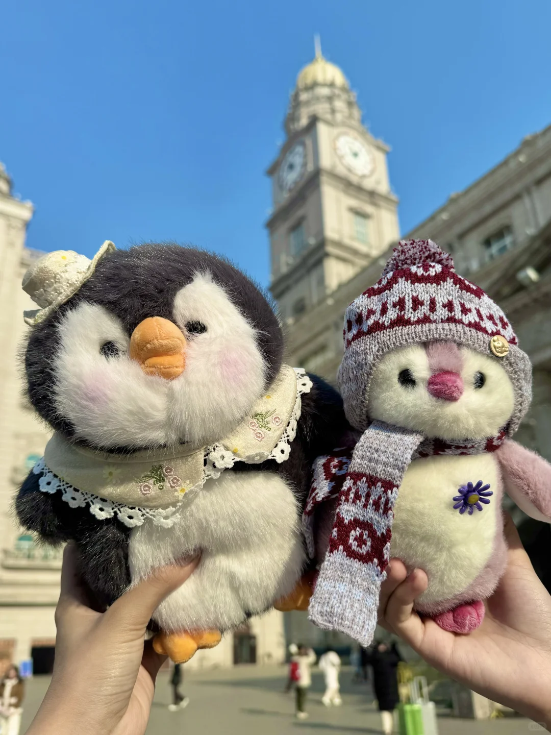 在哈药六厂买到了人生企鹅🐧全款拿下！！！