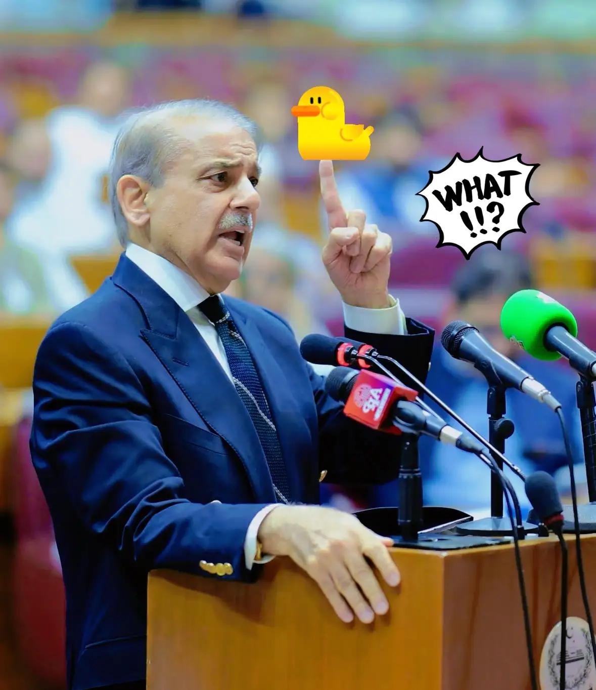 真是养不熟啊😦
 
巴基斯坦总理谢里夫在一次采访中表示，巴基斯坦需要的是不带附