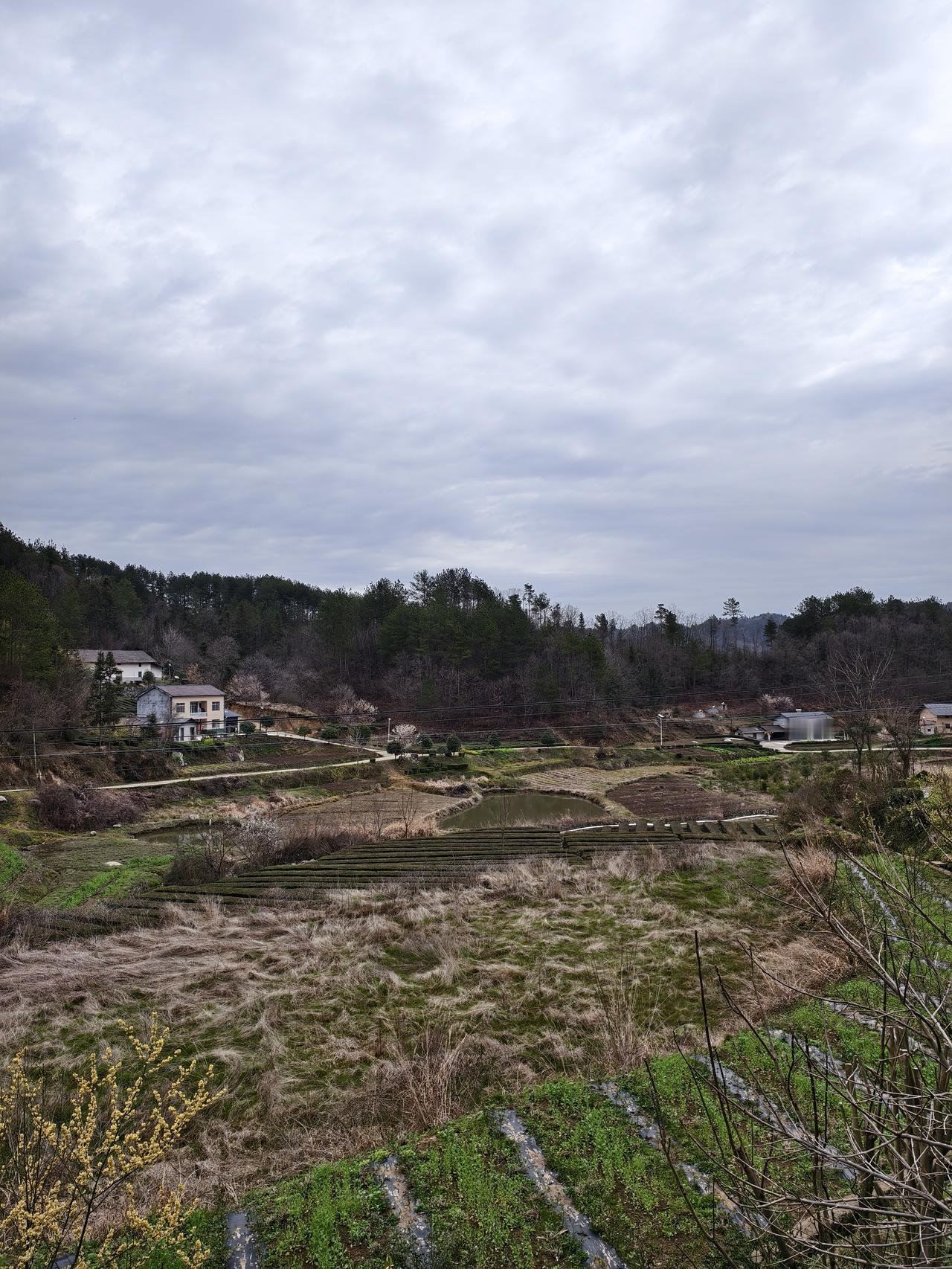 这个事真的值得担忧吗？
现在农村特别是山区农村有些耕地没人种了，年轻人不会种地，