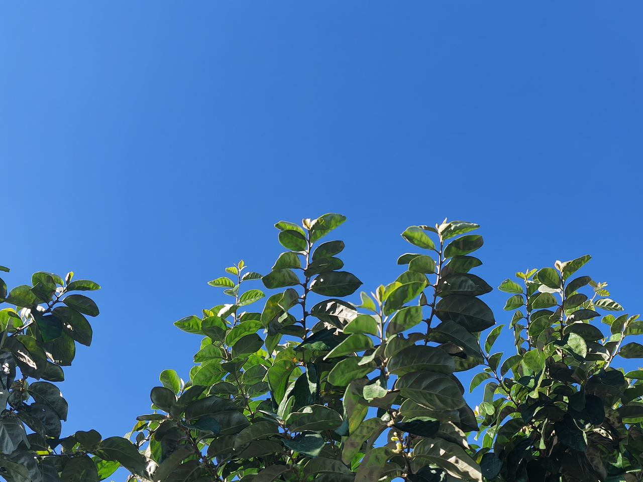 家乡的天就是蓝