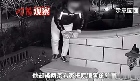 广东广州，男子晚上悄悄爬别墅偷东西，却被院子里两条狼狗吓退，他不死心，第二次拿着