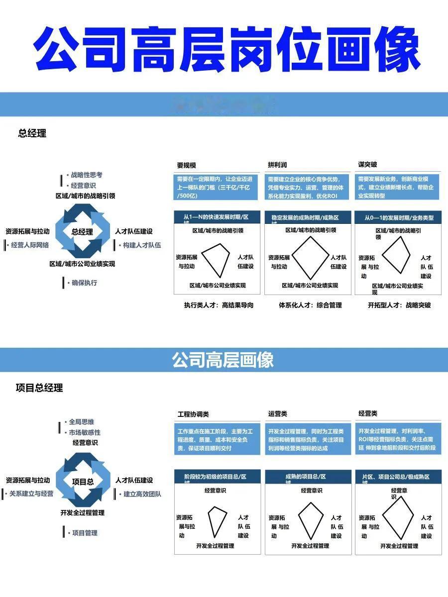 高层人才画像。