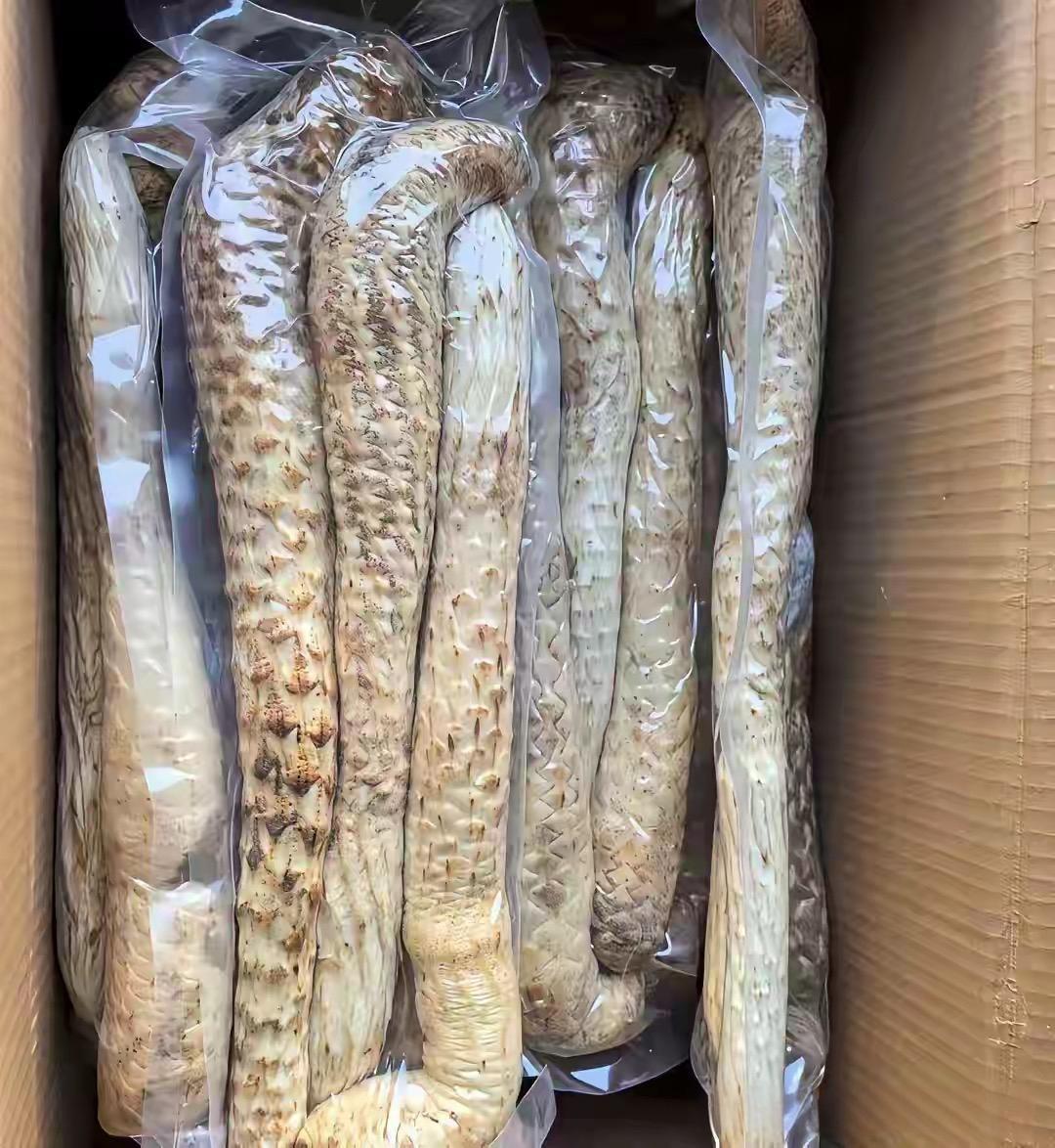 这是什么？同事送的