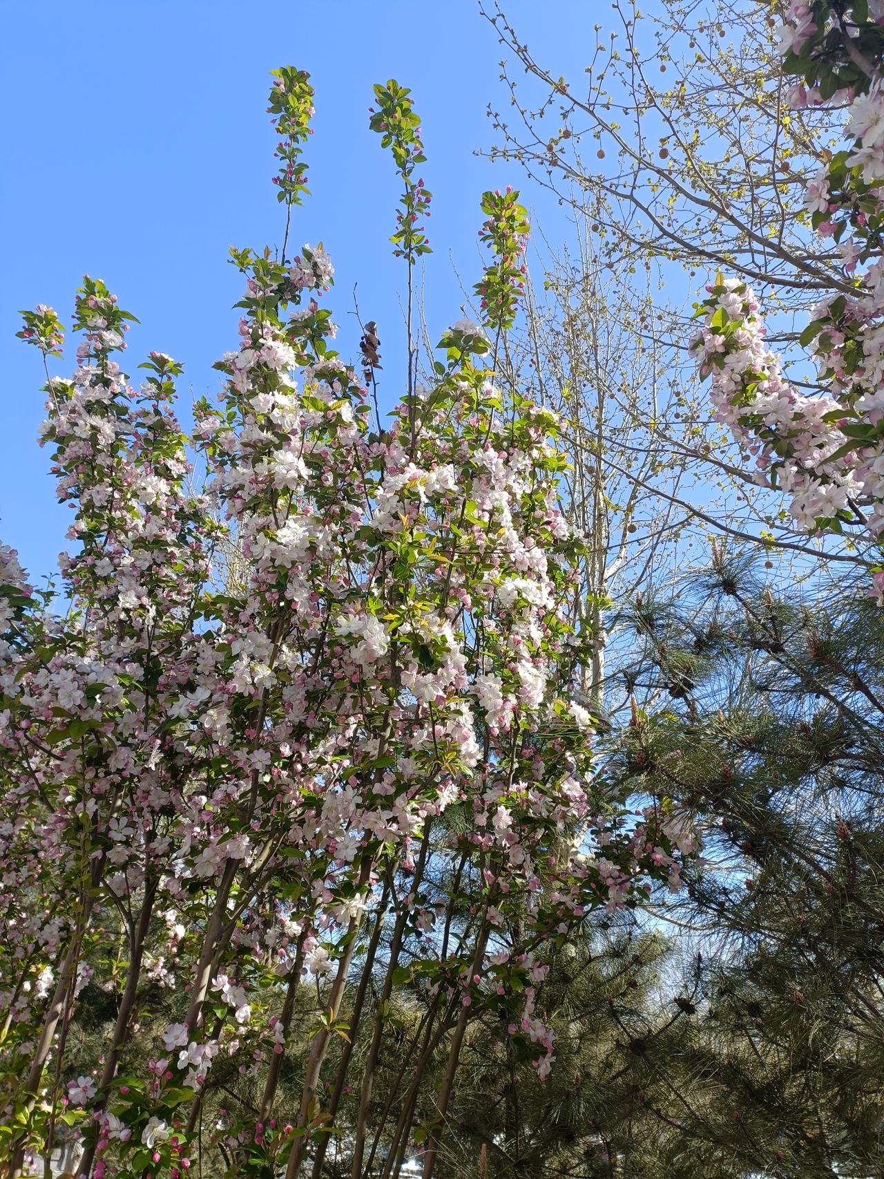养老服务人才短缺的原因有哪些 养老服务人才短缺，原因是多方面的。
薪资待遇是一大