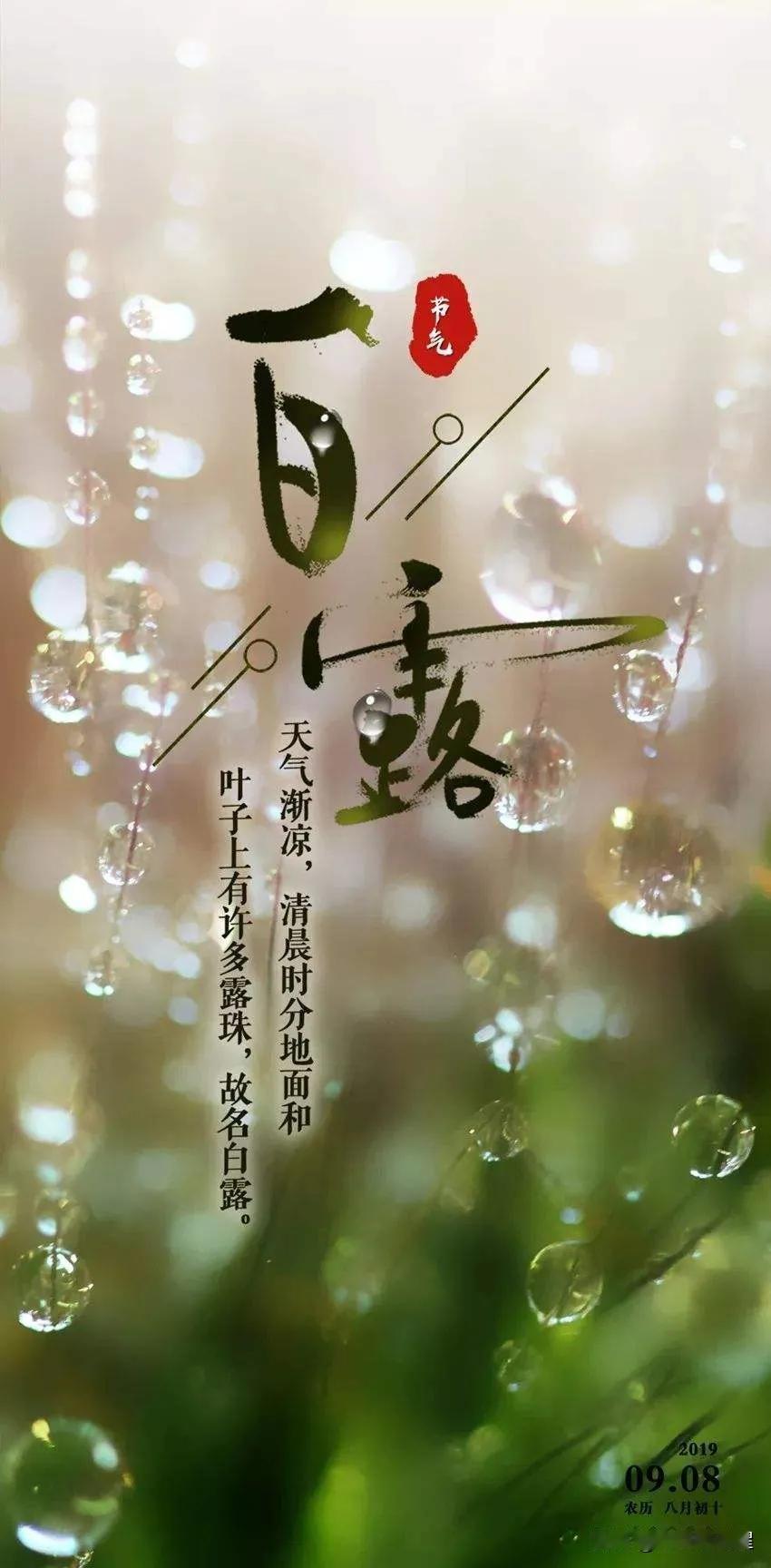 今日白露！
白露，是传统二十四节气里的第十五个节气，秋天的第三个节气。白露节气的