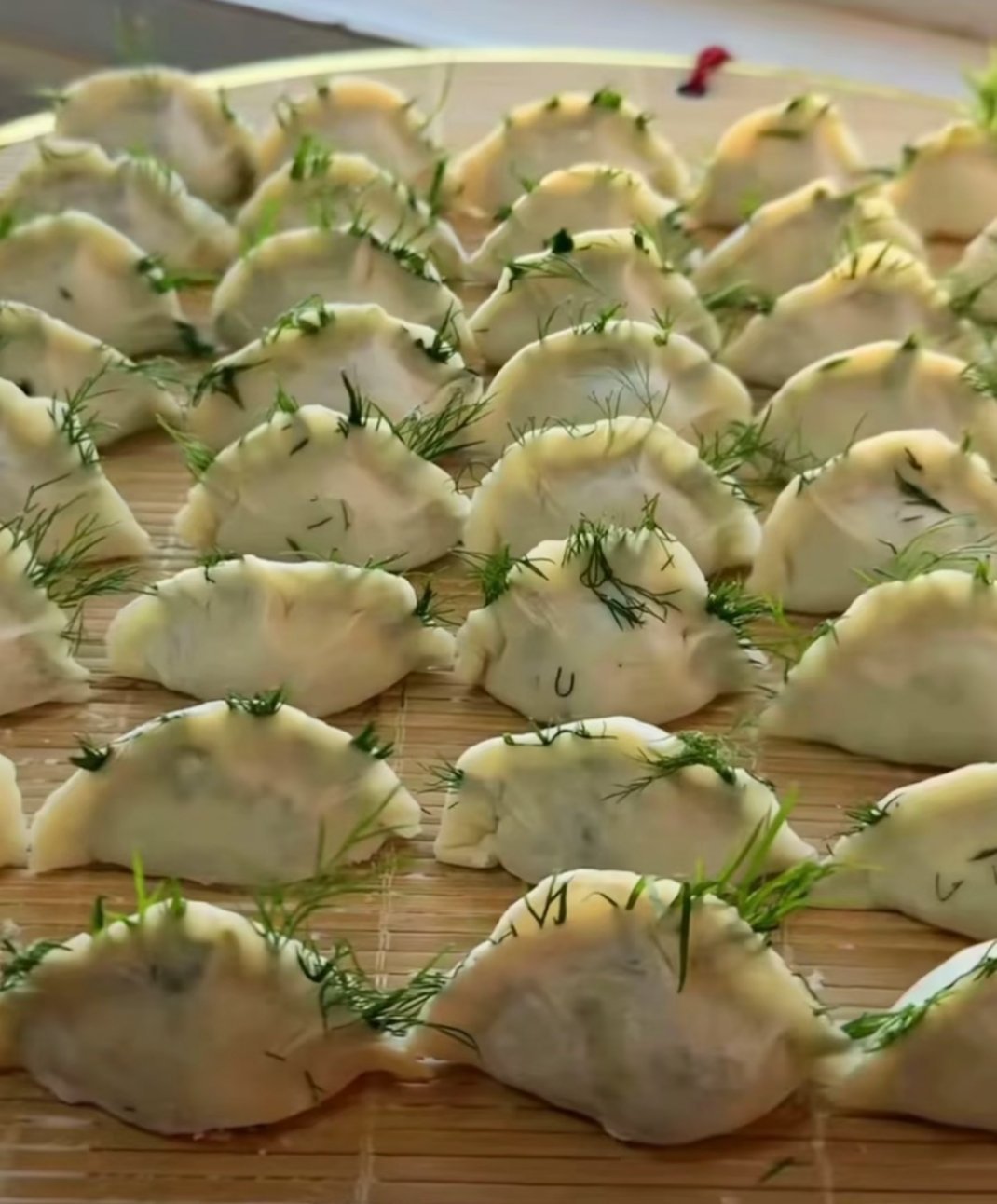 感觉这个饺子，很有生命力 ​​​