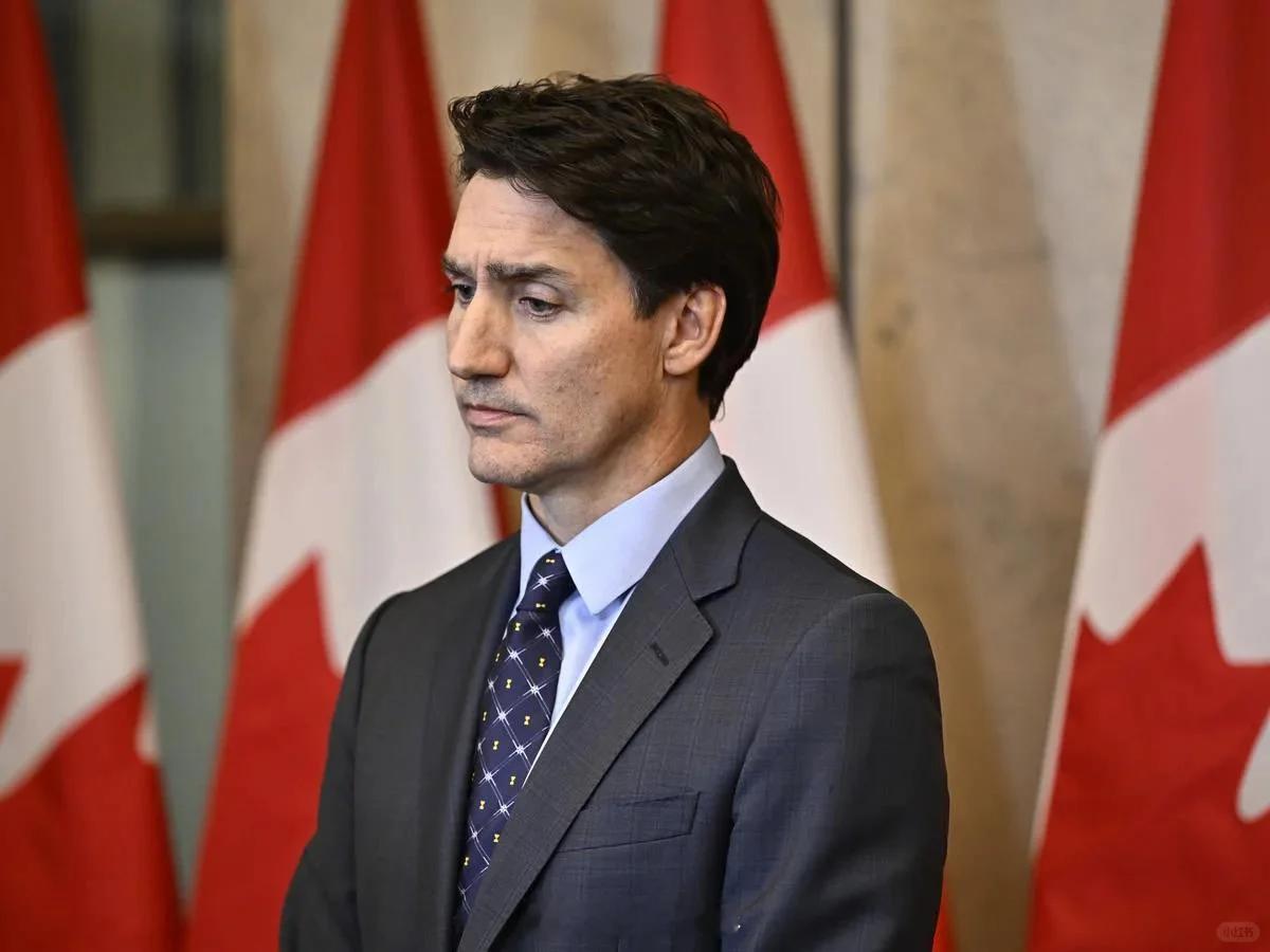 突发新闻：特朗普总统威胁征收 25% 的关税后，加拿大决定投资 13 亿美元增加