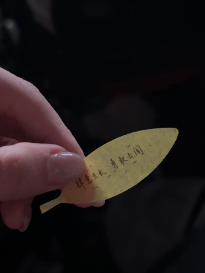 王俊凯土象的浪漫王俊凯土象的浪漫，王俊凯彩带是重庆市树黄桷树叶，就这样把浪漫藏在