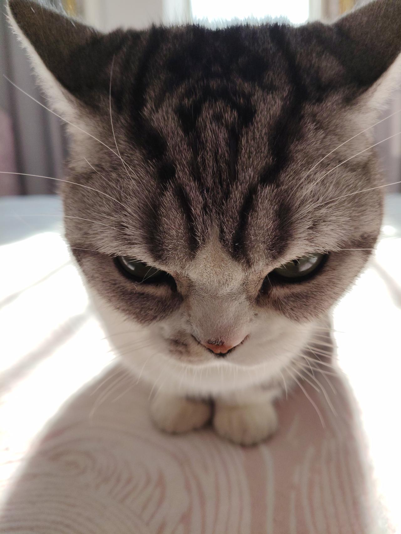 再见👋🏻，2025。
握手🤝，2026！