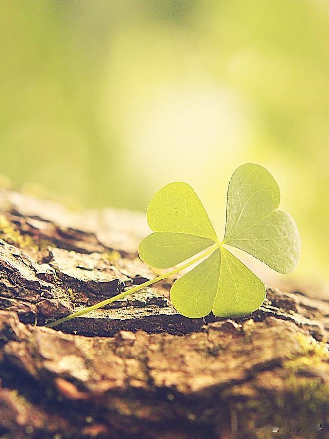 和表弟家一个小区的一户人家，二女儿和我表弟家二宝同岁，都是9岁，从小一起玩耍，是