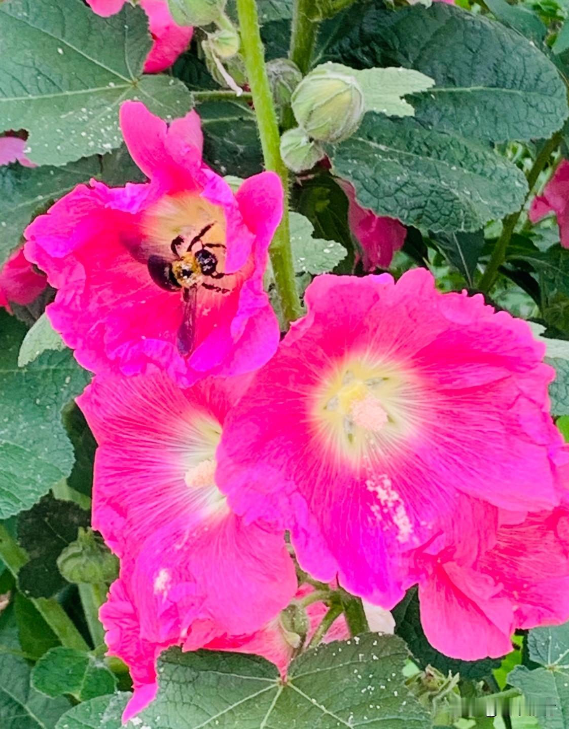 我的今日状态：😁轻松愉快
我这里的天气：☀️晴天