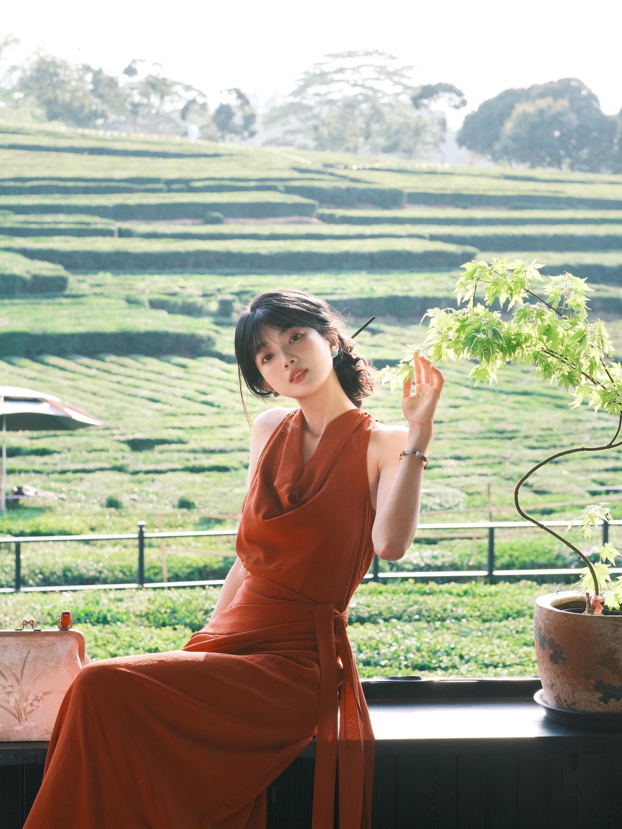 茶山已醒 只此青绿🍃在茶园拍新中式好绝。惠州的百亩茶园我终于来了 这...