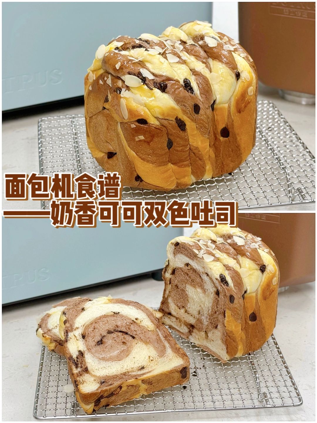 💯松软好吃🍫奶香可可双色吐司🍞面包机食谱