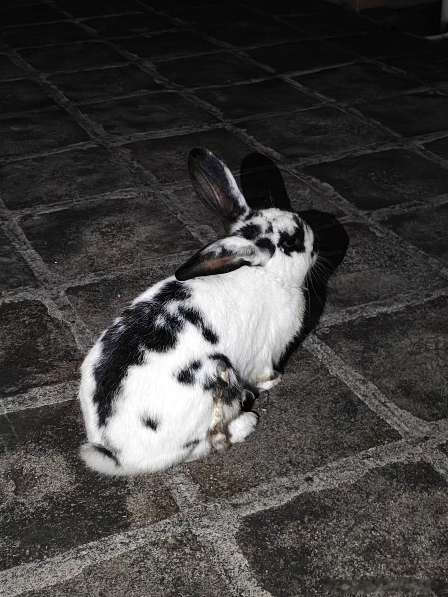 你们拍的月亮也太小了吧 看看老夫拍得多清楚[色][色][色][色]超级月亮  ​