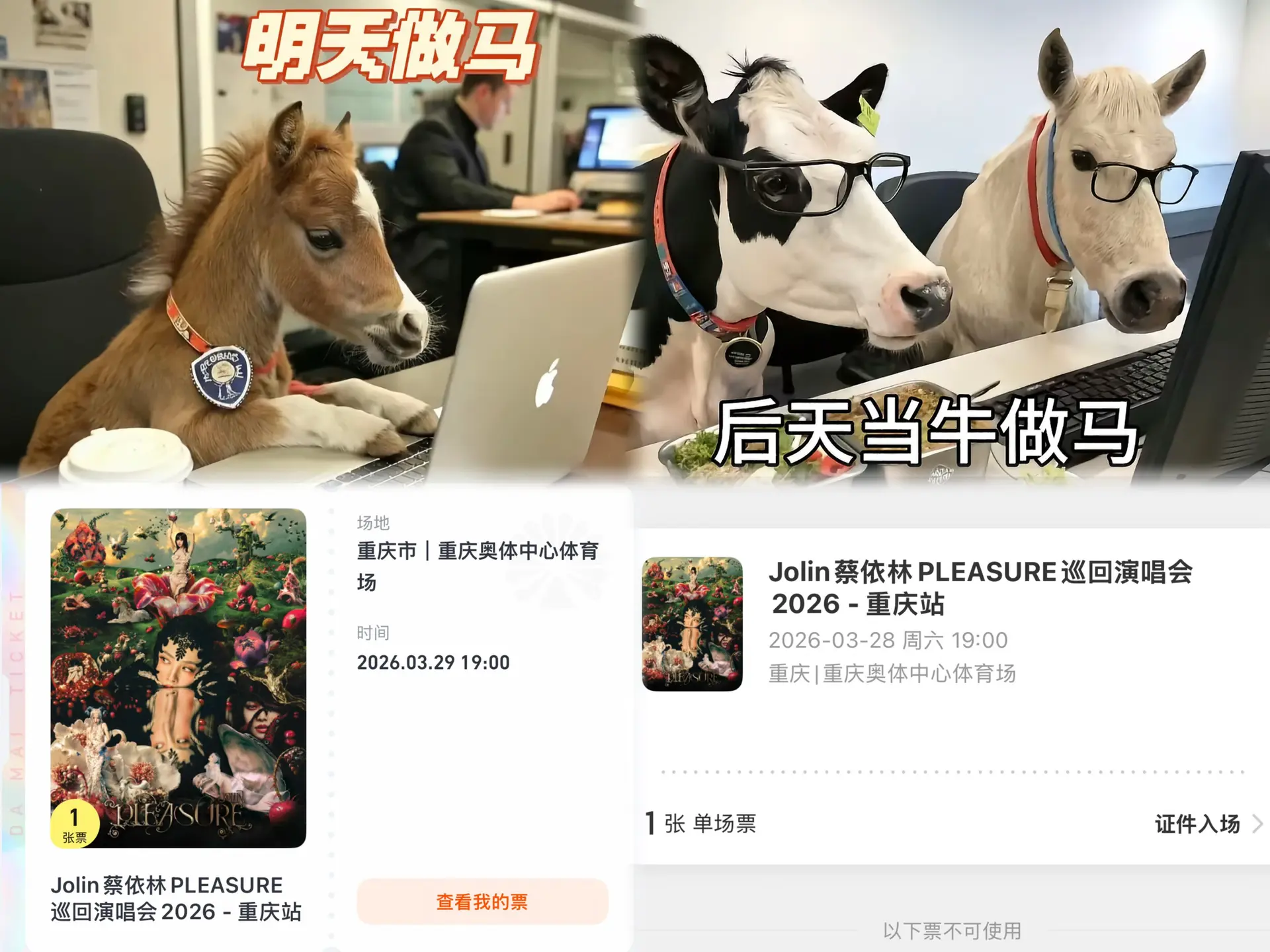 蔡依林重庆见。