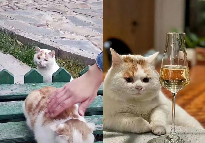 风水轮流转#今日memes# //#我的幽默搭子# //#定格# ​​​