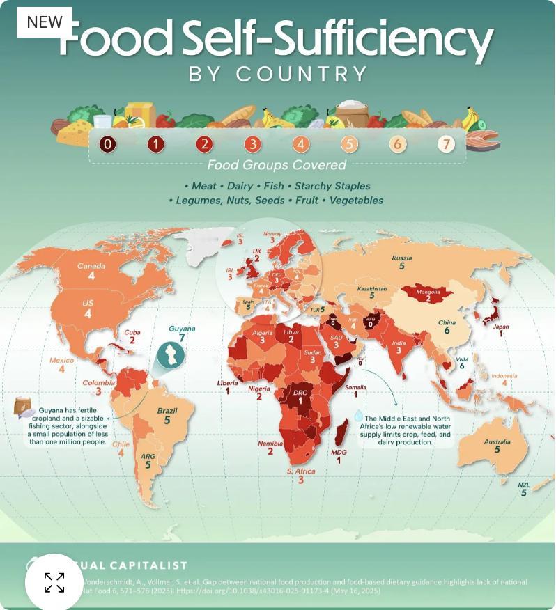 外媒：圭亚那是全球唯一实现全部食物自给自足的国家。这项发表于《自然·食品》期刊的