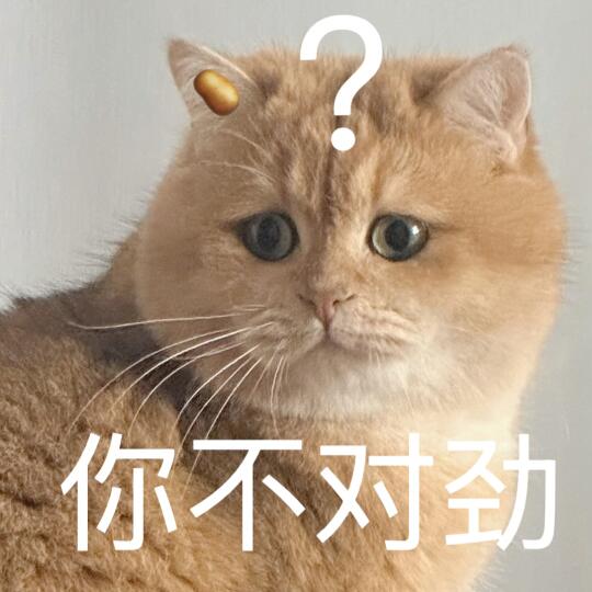 🥔猫猫表情包｜你不对劲