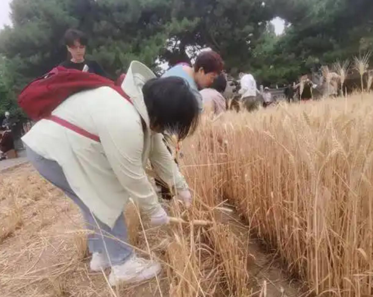 建筑小企业和大企业有什么区别？其实过来人更有发言权，二者之间的差别真是一个天上，